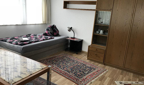 Ideal for commuters: Fully furnished, comfortable 1-room apartment, no pets allowed, Wi-Fi included.