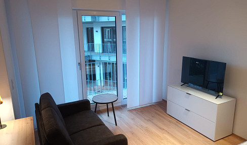 Vollmöbliertes stylishes 1-Zimmer-Appartement, am Nürnberger Stadtpark