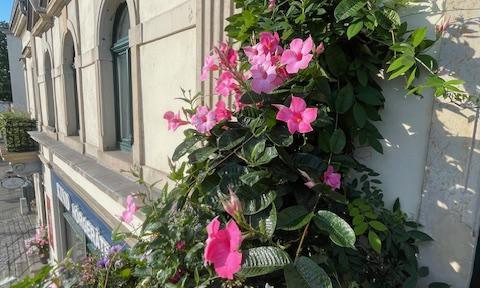 Move in furnished and feel right at home – 4-room apartment in Dresden-Laubegast.