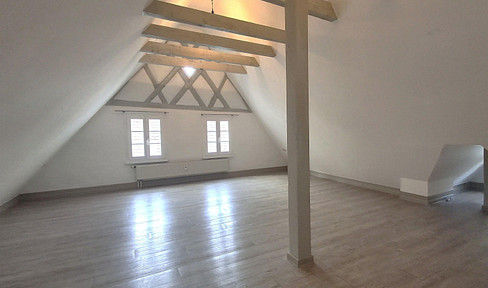 2-room apartment / studio in the old town of Horb.