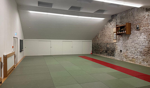 Sports hall / hall / club premises / storage space for rent, located in the central, historic district of Mainz.