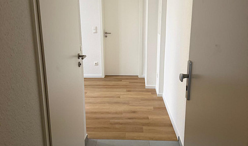 Renovated 1.5-room apartment in the South City district.