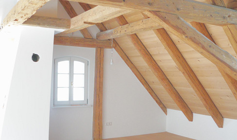 Idyllic location: bright apartment with views of greenery and charm: balcony, exposed ceiling beams, and fireplaces.