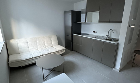 New construction! Furnished 2-room apartment in a QNG-certified green building in Kelsterbach.