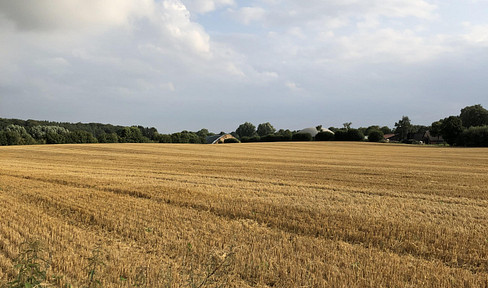 Historic farmhouse in a secluded location near Hamburg - Private sale - Three apartments - Secluded location.