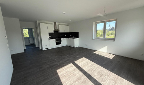 ***Energy-efficient new apartment for rent in Albersdorf.***