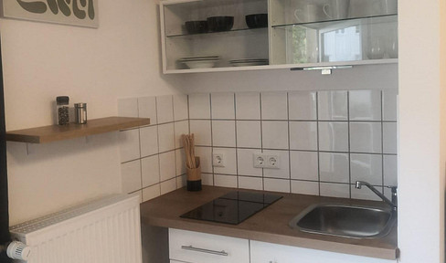 Vollmöbliertes Appartement für Berufspendler, Erstbezug nach Sanierung