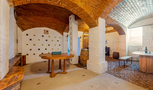 Large living room/kitchen area / Terrace / Wine cellar. No agency fees.