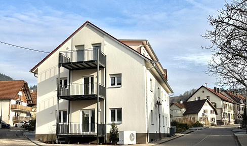 3-room apartment for rent - brand new condition after complete renovation - located on the top floor.