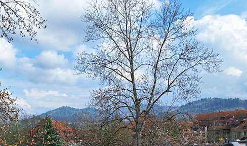 St. Georgen. Penthouse-style apartment. Buy today, move in tomorrow.