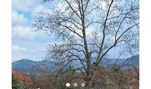No agency fees. Directly from the owner, St. Georgen, Freiburg: High-quality, 3-room penthouse apartment.