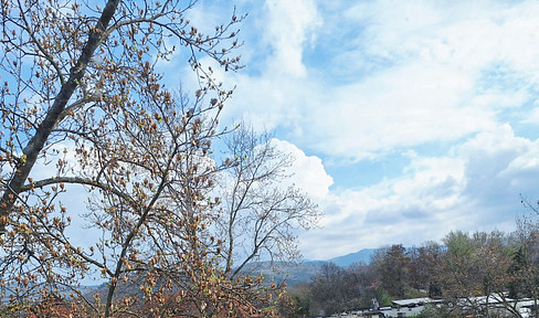 No agency fees. Directly from the owner, St. Georgen, Freiburg: High-quality, 3-room penthouse apartment.