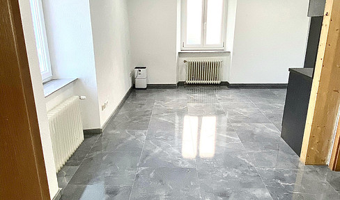 Schöner wohnen - besser leben! 1 Zi-Wohnung neu Renoviert