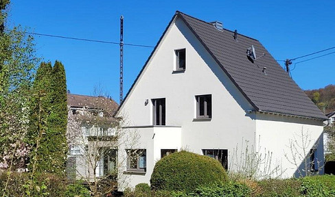 Family-friendly detached house on the Rhine.