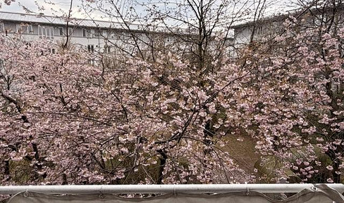 Charming 1.5-room apartment with underground parking near the Olympic Park – peaceful yet centrally located.