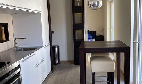 Modern, high-quality furnished design apartment in Schwabing-West.