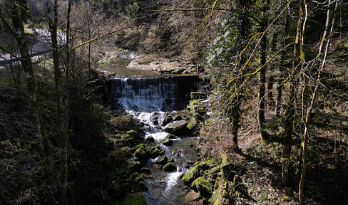 Former mill, secluded location, large plot of land, requires renovation, for sale by private owner.