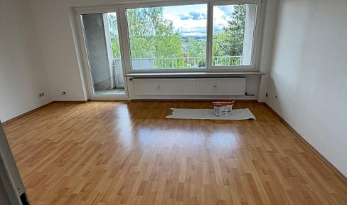 Renovated apartment with a south-facing balcony.