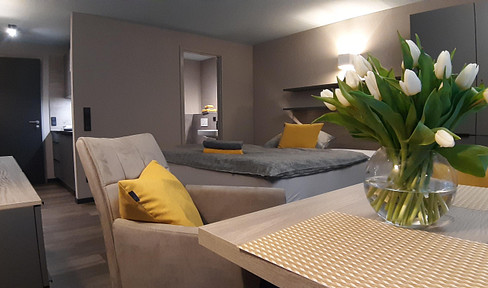 IWR city apartments - TEMPORARY ACCOMMODATION IN KIRCHHEIM UNTER TECK - available from October 1st, 2026.