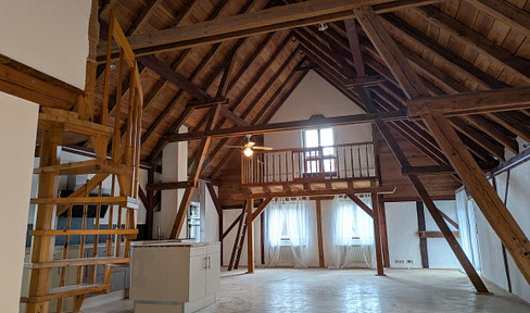 Atelier Loft Reihenend Haus 100 m2 Wohnung & Garten in Brachttal