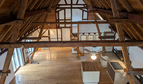 Studio loft apartment in a terraced house, 100 m2, with garden, located in Brachttal.