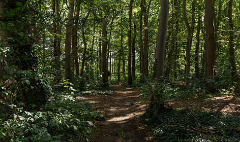 Unique – the largest private woodland area within the city limits of Berlin.