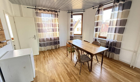 Large 2.5-room apartment with a huge living room.