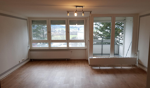 One-room apartment on the outskirts of the city, with garage.