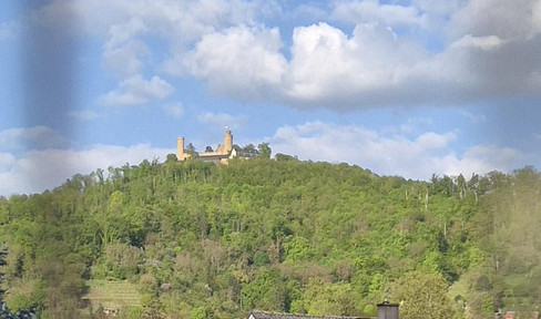 modernisierte helle Eigentumswohnung mit Schlossblick