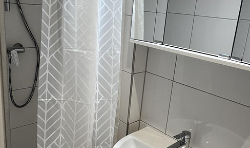Completely renovated 1-room apartment with potential – centrally located in Mainz, available from August 15th or September 1st.