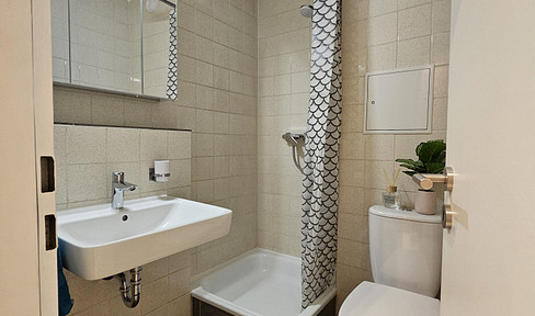 Newly renovated 1-bedroom apartment, fully furnished.