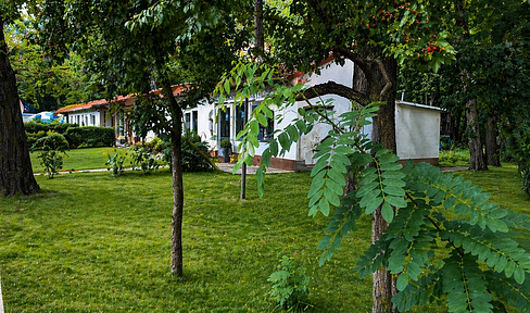 Gewerberiegel mit Waldfläche im Berliner Norden