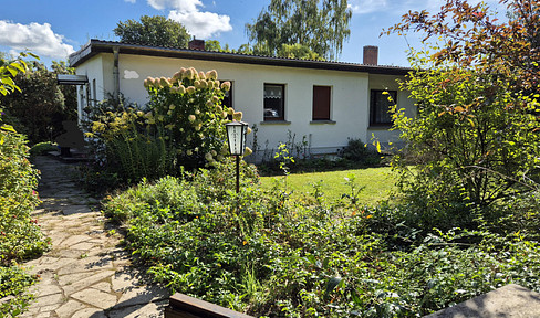 Architect-designed house with a large plot of land.