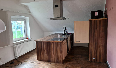 Apartment for rent, fully equipped kitchen, dogs are allowed.