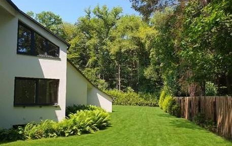 Renoviert & provisionsfrei: Lichtdurchflutete, moderne Villa auf Traumgrundstück