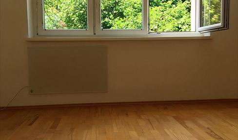 2-room apartment / Suitable for shared living / 23 minutes to Vienna.