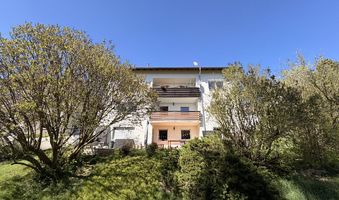 Large, renovated 4-room apartment in a prime location.