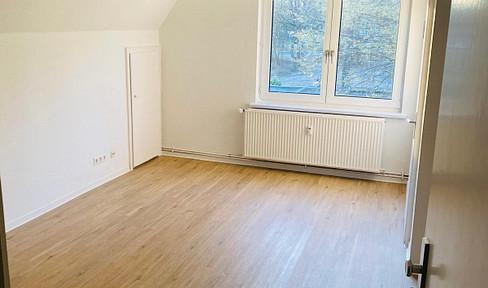 Newly renovated 1-room apartment.