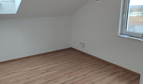 Modern attic apartment with a view of the Danube.