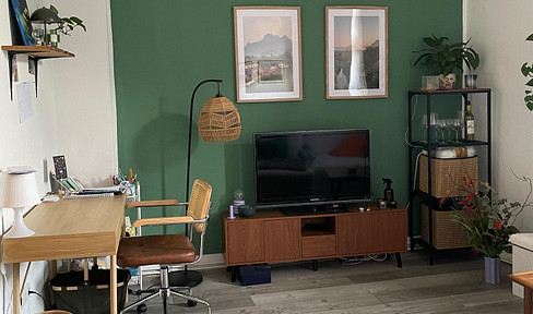 Beautiful and quiet 2.5-room apartment near the university, with U35 public transportation right outside the door.