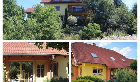 Spacious single-family home with a separate apartment and unobstructed views in Langenschwarz.
