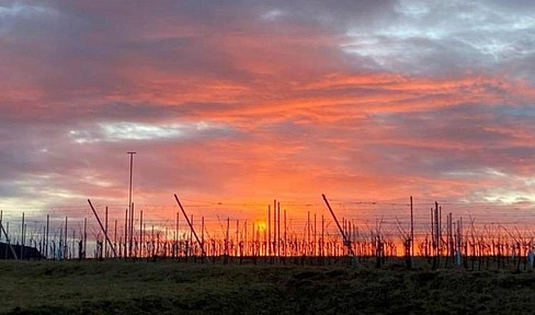 Building plot with a stunning panoramic view.