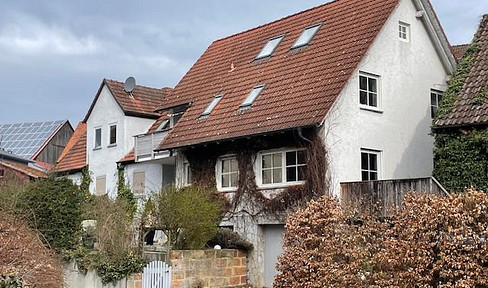 EFH mit Austraghaus, Scheune u. Wiese