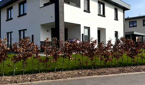 Wohnung zu vermieten in Klütz