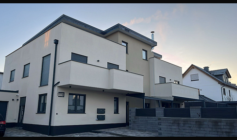 3-room penthouse apartment in a new building.