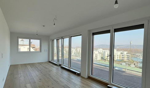 Tastefully renovated 2-room apartment with a terrace and a view of the Danube, located in Vienna's 1190 district.