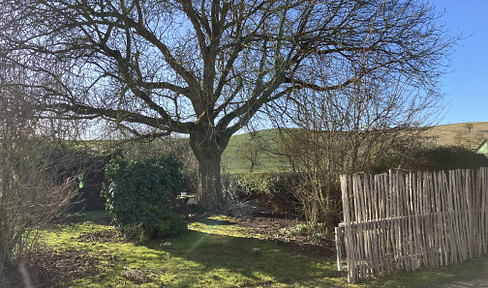 Charming farm with pastureland near Kassel, on a 27,000 square meter property.