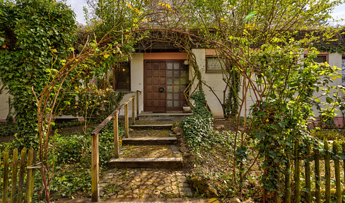 Unique house with a natural garden (wildlife habitat) and a rooftop garden – a peaceful retreat, 292 square meters of living space.