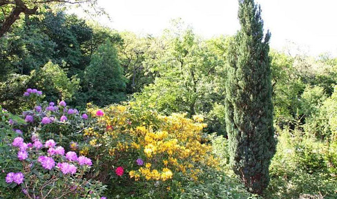 3 Kleingarten-Parzellen inkl. Haus in absoluter Ruhelage