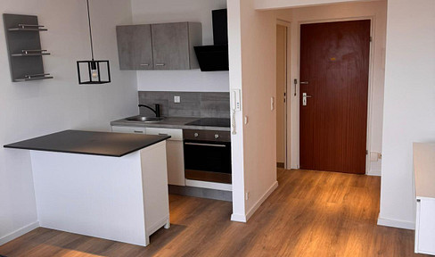 Brand new apartment after renovation: Modern 25m² apartment in the desirable Weststadt district of Karlsruhe.